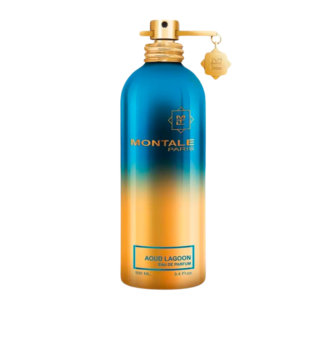 lagoon Montale Aoud Lagoon - Uniseks parfemska voda 100ml - Slika 1