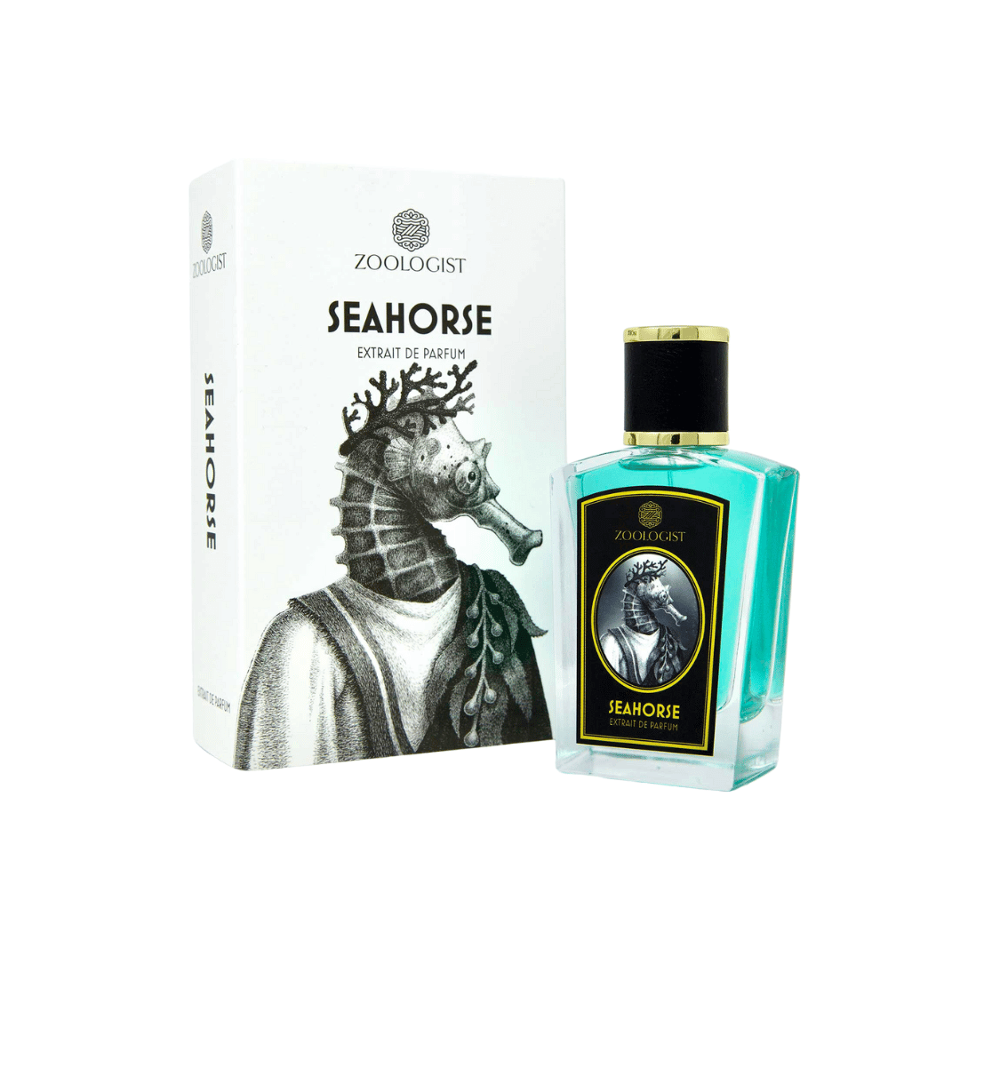 seahorse zoologist seahorse zoologist